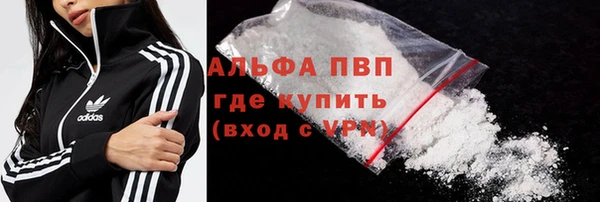 гидра Алексин